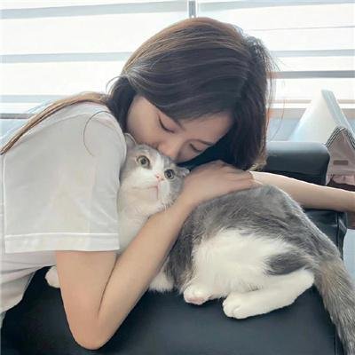 大内密探灵灵狗